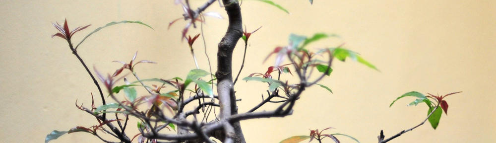 Le blogue de Charles